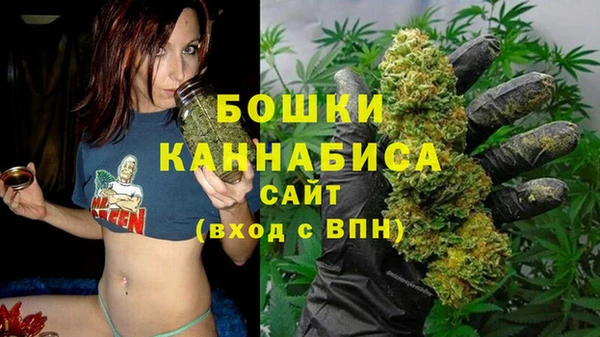 винт Липки