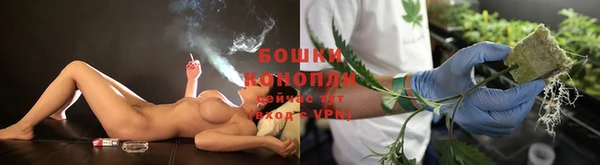 крисы Лагань