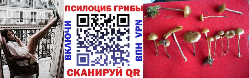 Галлюциногенные грибы прущие грибы  Сухой Лог 